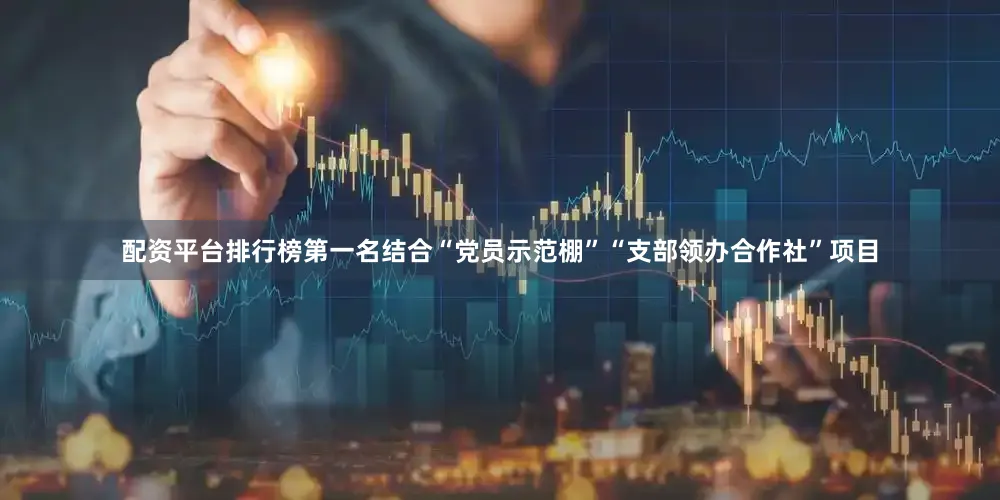 配资平台排行榜第一名结合“党员示范棚”“支部领办合作社”项目